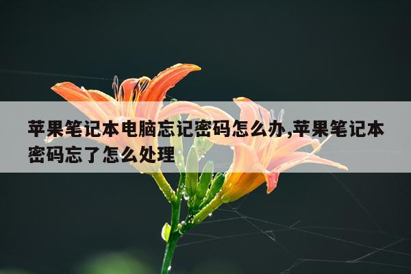 苹果笔记本电脑忘记密码怎么办,苹果笔记本密码忘了怎么处理