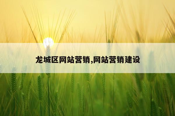 龙城区网站营销,网站营销建设