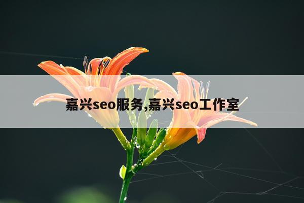 嘉兴seo服务,嘉兴seo工作室