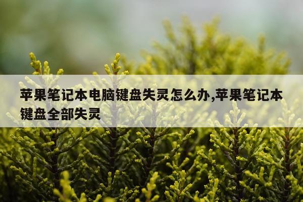 苹果笔记本电脑键盘失灵怎么办,苹果笔记本键盘全部失灵