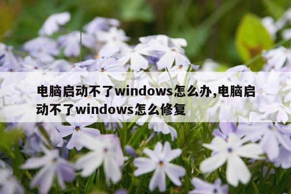 电脑启动不了windows怎么办,电脑启动不了windows怎么修复