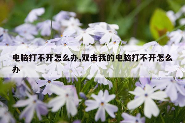 电脑打不开怎么办,双击我的电脑打不开怎么办