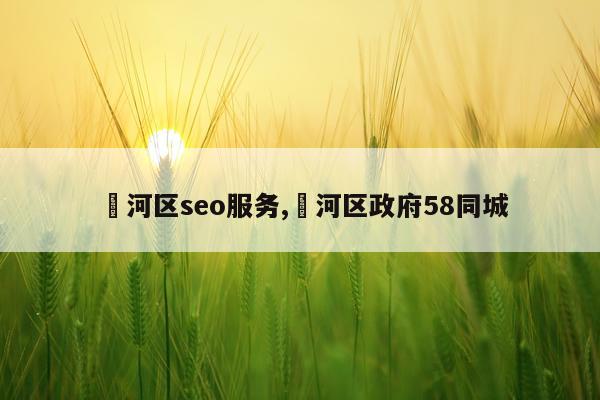 浉河区seo服务,瀍河区政府58同城