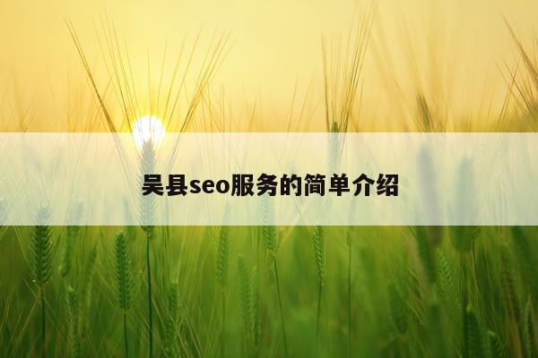 吴县seo服务的简单介绍