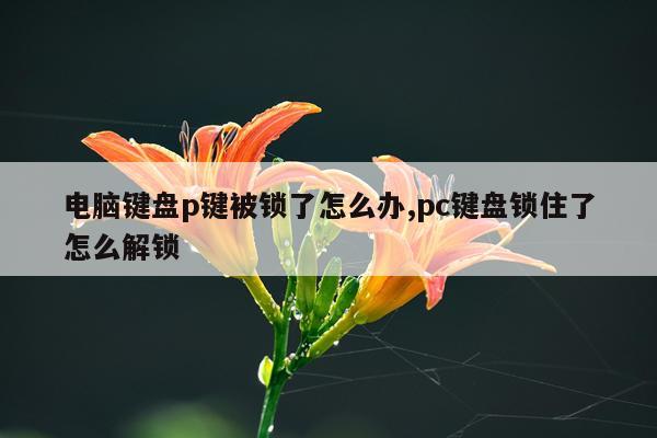 电脑键盘p键被锁了怎么办,pc键盘锁住了怎么解锁