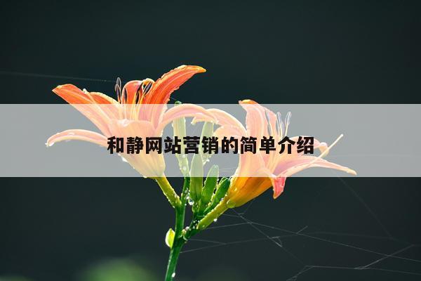 和静网站营销的简单介绍