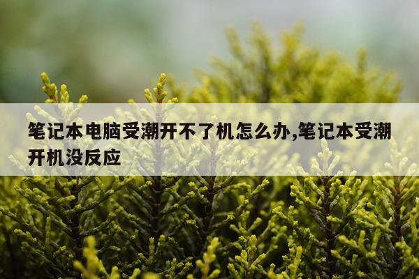 笔记本电脑受潮开不了机怎么办,笔记本受潮开机没反应