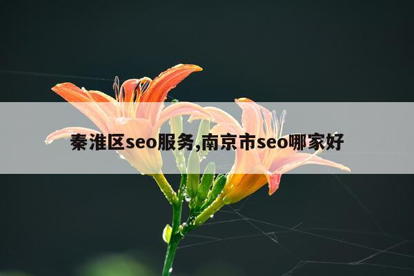 秦淮区seo服务,南京市seo哪家好