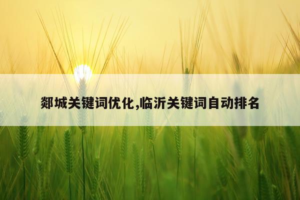 郯城关键词优化,临沂关键词自动排名