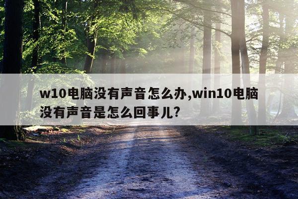 w10电脑没有声音怎么办,win10电脑没有声音是怎么回事儿?