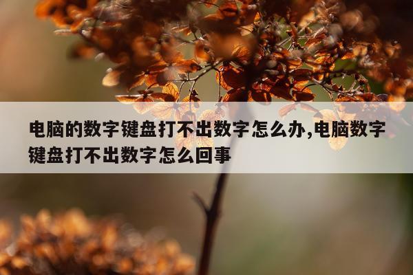 电脑的数字键盘打不出数字怎么办,电脑数字键盘打不出数字怎么回事