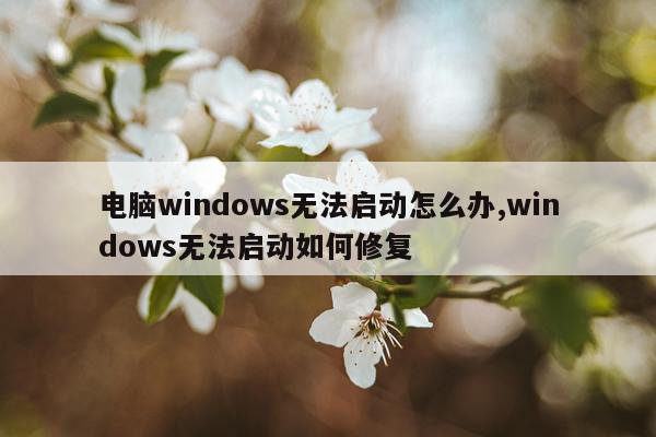 电脑windows无法启动怎么办,windows无法启动如何修复