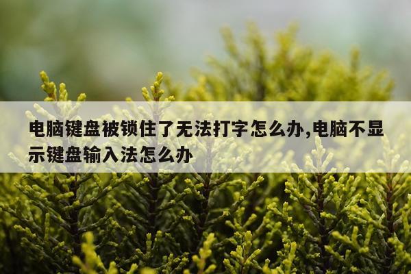 电脑键盘被锁住了无法打字怎么办,电脑不显示键盘输入法怎么办