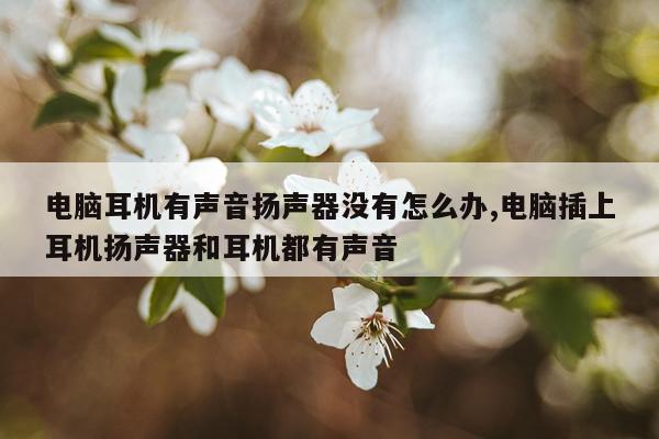 电脑耳机有声音扬声器没有怎么办,电脑插上耳机扬声器和耳机都有声音