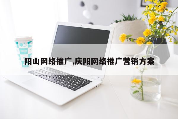 阳山网络推广,庆阳网络推广营销方案