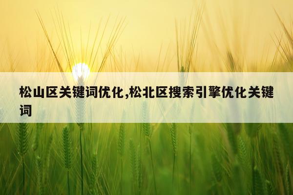 松山区关键词优化,松北区搜索引擎优化关键词