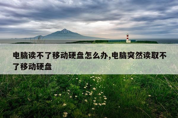 电脑读不了移动硬盘怎么办,电脑突然读取不了移动硬盘