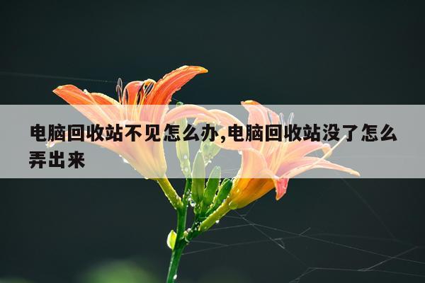 电脑回收站不见怎么办,电脑回收站没了怎么弄出来