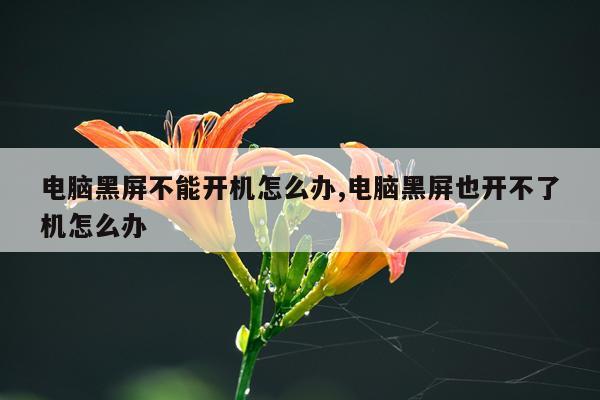 电脑黑屏不能开机怎么办,电脑黑屏也开不了机怎么办