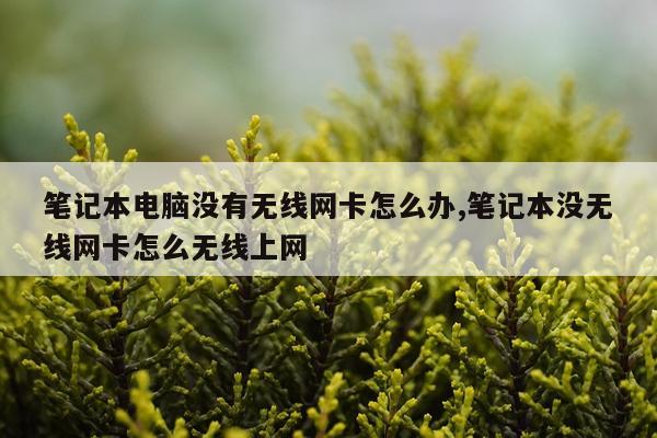 笔记本电脑没有无线网卡怎么办,笔记本没无线网卡怎么无线上网