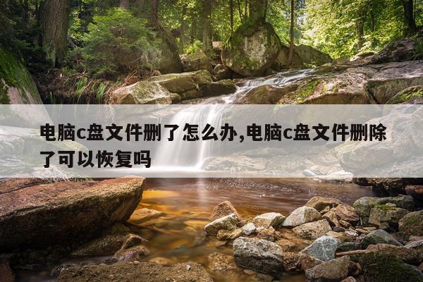 电脑c盘文件删了怎么办,电脑c盘文件删除了可以恢复吗