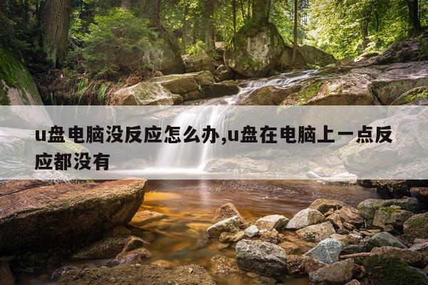 u盘电脑没反应怎么办,u盘在电脑上一点反应都没有