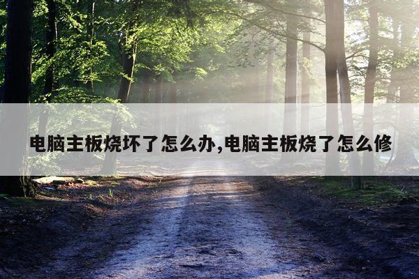 电脑主板烧坏了怎么办,电脑主板烧了怎么修