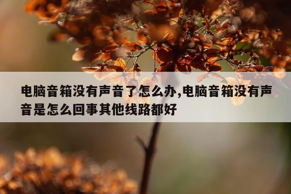 电脑音箱没有声音了怎么办,电脑音箱没有声音是怎么回事其他线路都好
