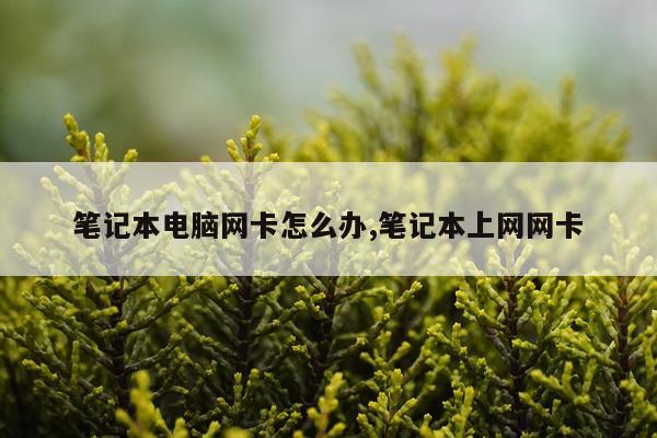 笔记本电脑网卡怎么办,笔记本上网网卡
