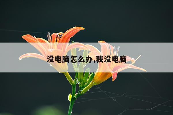 没电脑怎么办,我没电脑