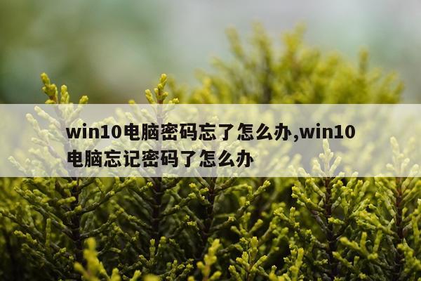 win10电脑密码忘了怎么办,win10电脑忘记密码了怎么办