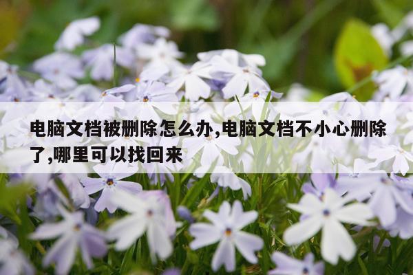 电脑文档被删除怎么办,电脑文档不小心删除了,哪里可以找回来