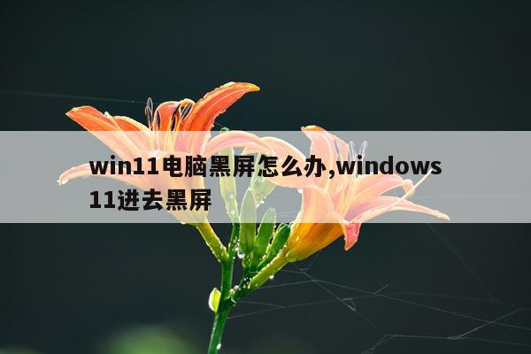 win11电脑黑屏怎么办,windows11进去黑屏