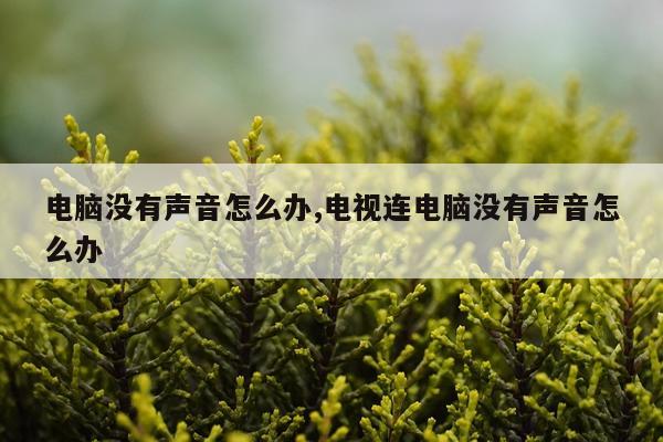 电脑没有声音怎么办,电视连电脑没有声音怎么办