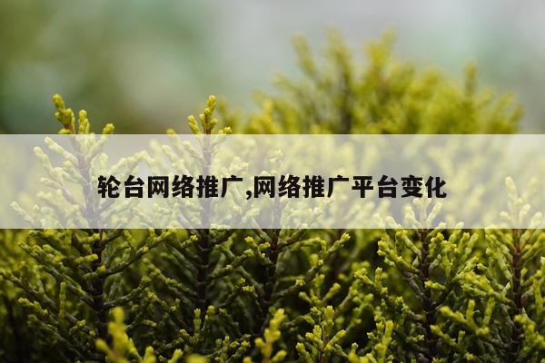 轮台网络推广,网络推广平台变化