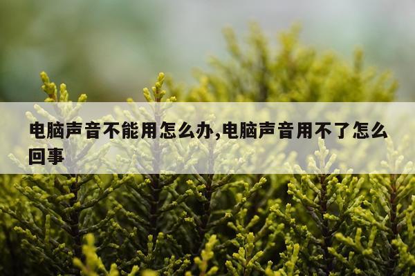 电脑声音不能用怎么办,电脑声音用不了怎么回事