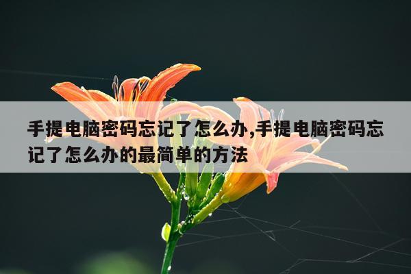 手提电脑密码忘记了怎么办,手提电脑密码忘记了怎么办的最简单的方法