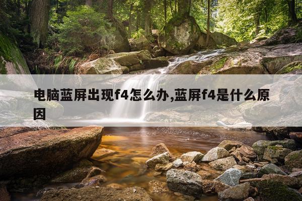 电脑蓝屏出现f4怎么办,蓝屏f4是什么原因