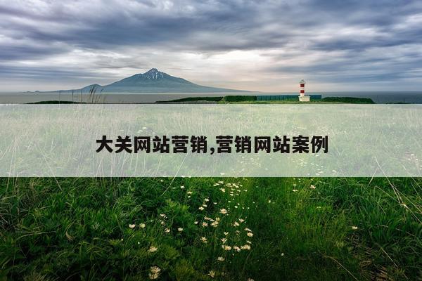 大关网站营销,营销网站案例