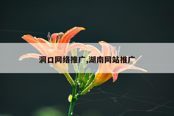 洞口网络推广,湖南网站推广