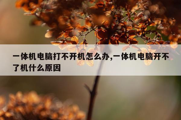 一体机电脑打不开机怎么办,一体机电脑开不了机什么原因