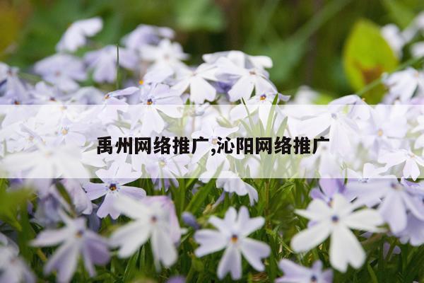 禹州网络推广,沁阳网络推广