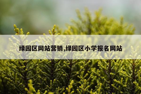 绿园区网站营销,绿园区小学报名网站