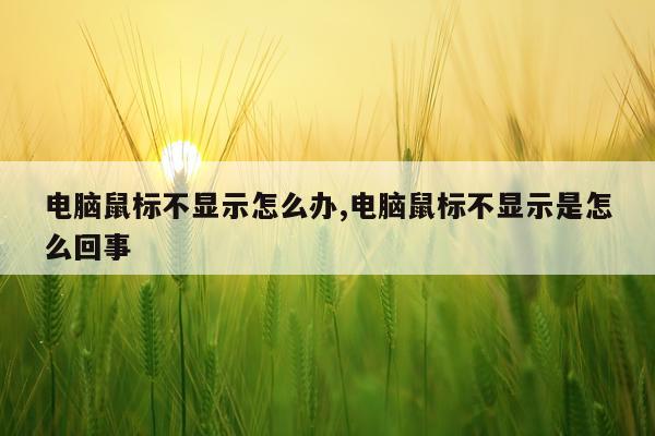 电脑鼠标不显示怎么办,电脑鼠标不显示是怎么回事