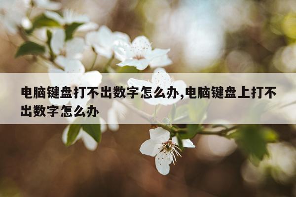 电脑键盘打不出数字怎么办,电脑键盘上打不出数字怎么办