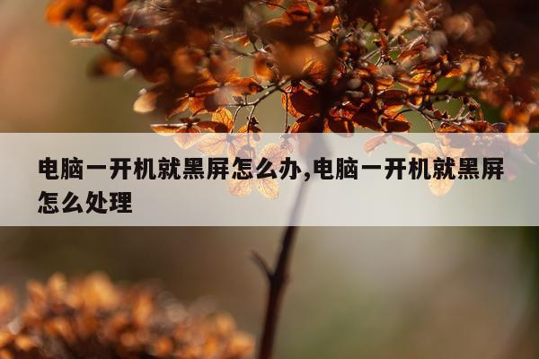 电脑一开机就黑屏怎么办,电脑一开机就黑屏怎么处理