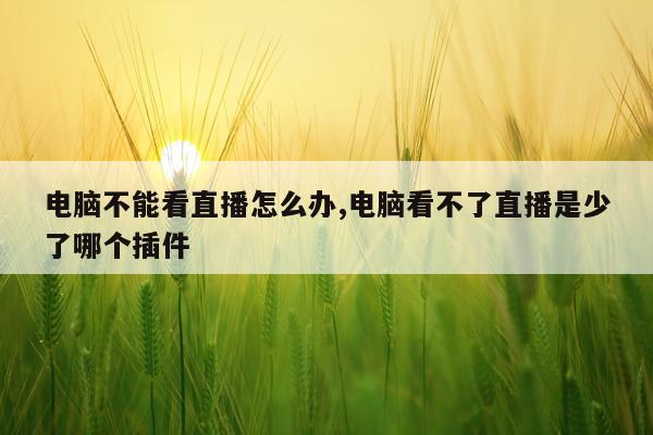电脑不能看直播怎么办,电脑看不了直播是少了哪个插件