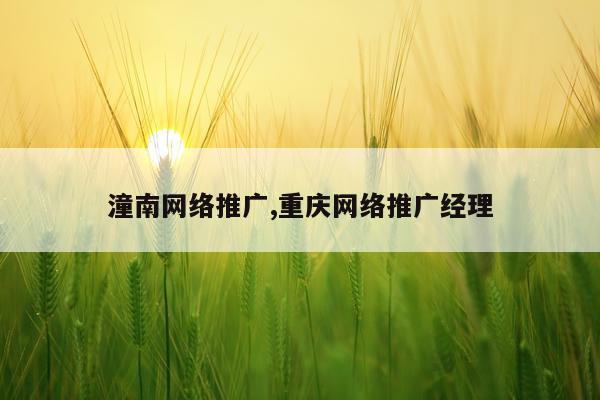 潼南网络推广,重庆网络推广经理