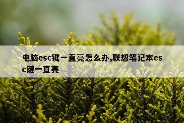 电脑esc键一直亮怎么办,联想笔记本esc键一直亮