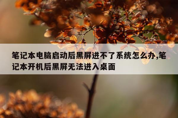 笔记本电脑启动后黑屏进不了系统怎么办,笔记本开机后黑屏无法进入桌面